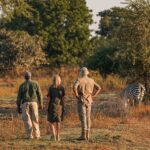 Botswana and Rwanda Luxury+ Safari