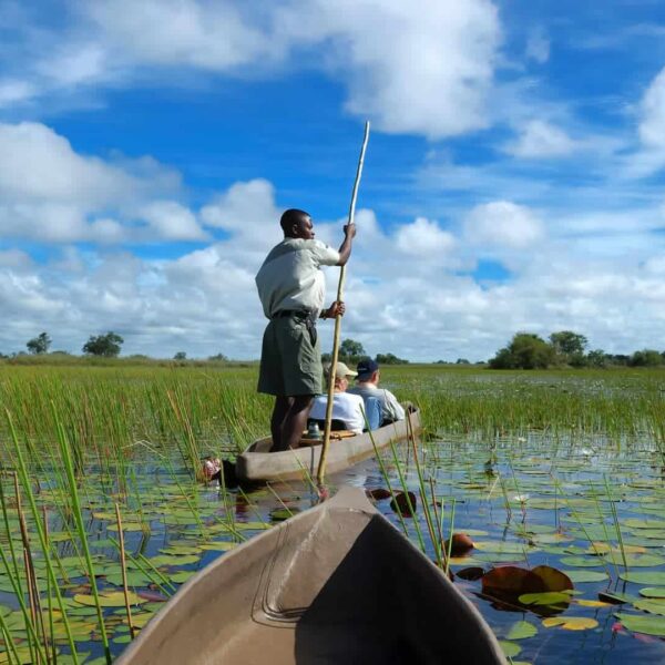 Africa Safaris