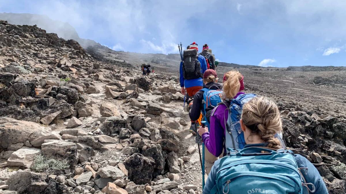 Kilimanjaro Marangu Route Hiking Safari
