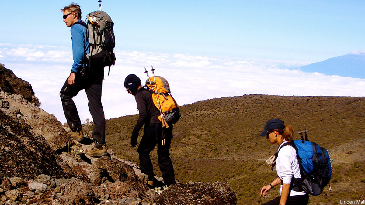 8-Day Kilimanjaro Hiking Expedition