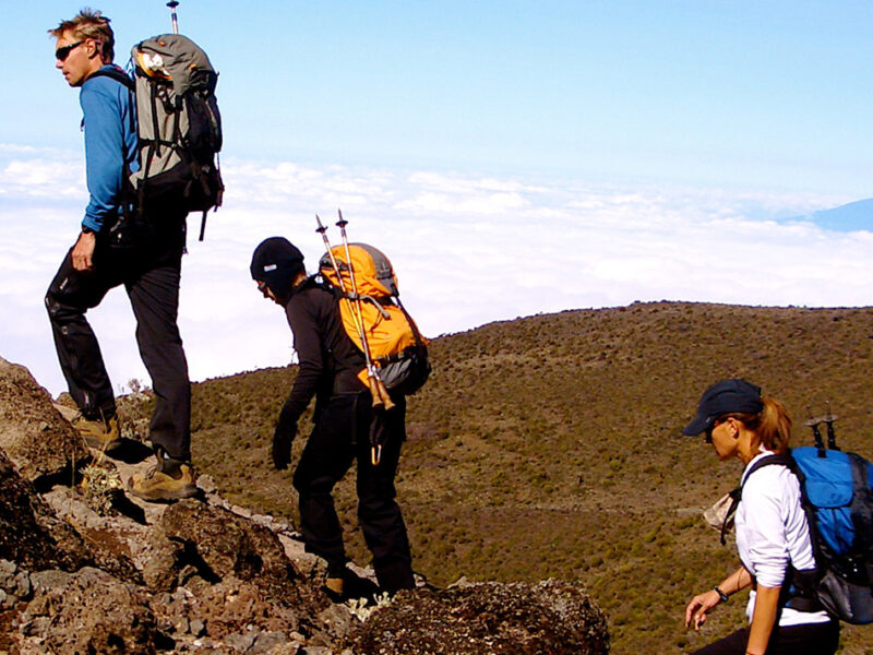 hiking mount kilimanjaro 5 8-Day Kilimanjaro Hiking Expedition