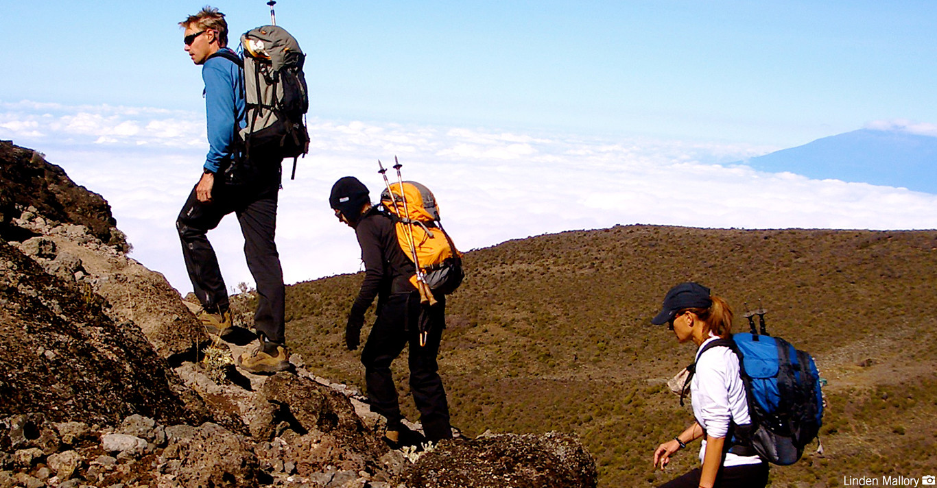 8-Day Kilimanjaro Hiking Expedition