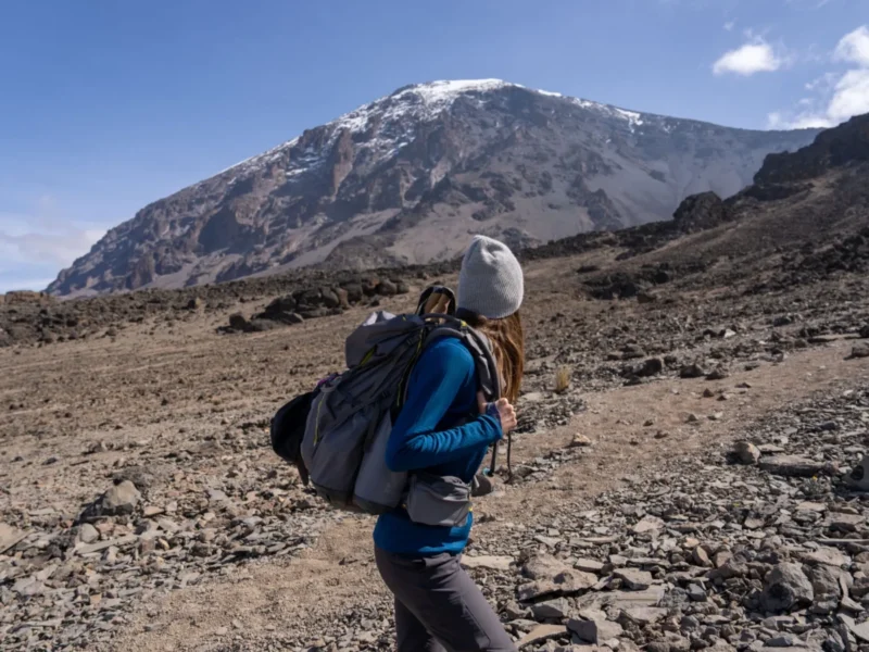 hiking mount kilimanjaro 6 Kilimanjaro Climbing via Lemosho Route