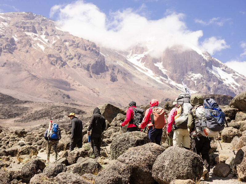 hiking mount kilimanjaro 8 Hiking Mount Kilimanjaro via Machame Route