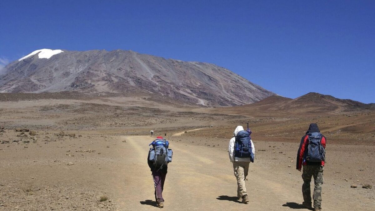 7-Day Kilimanjaro Hiking Safari Adventure