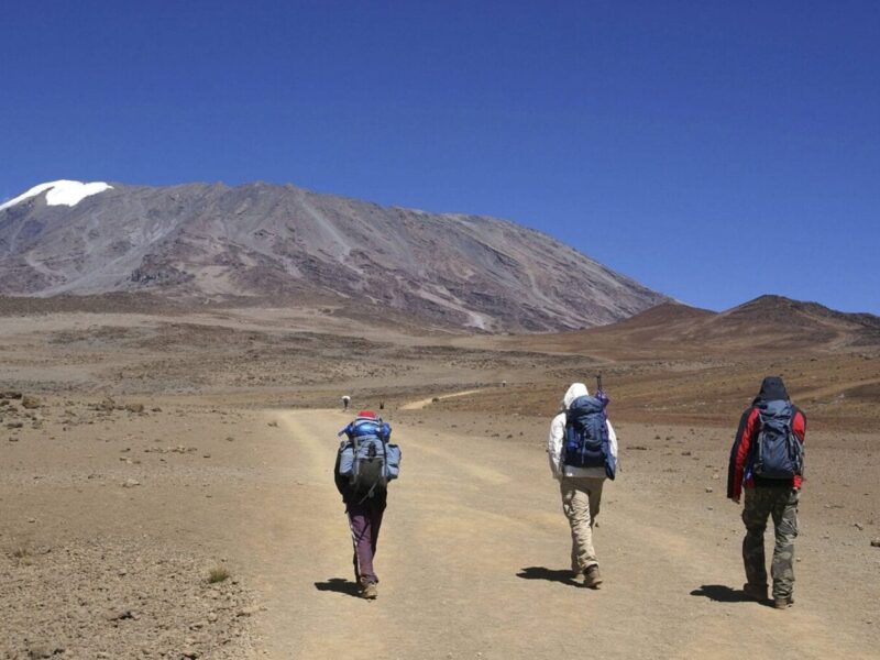 hiking mount kilimanjaro 9 7-Day Kilimanjaro Hiking Safari Adventure