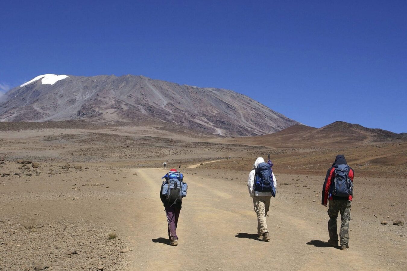 7-Day Kilimanjaro Hiking Safari Adventure
