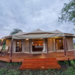 Tanzania Luxury Safari Lodges