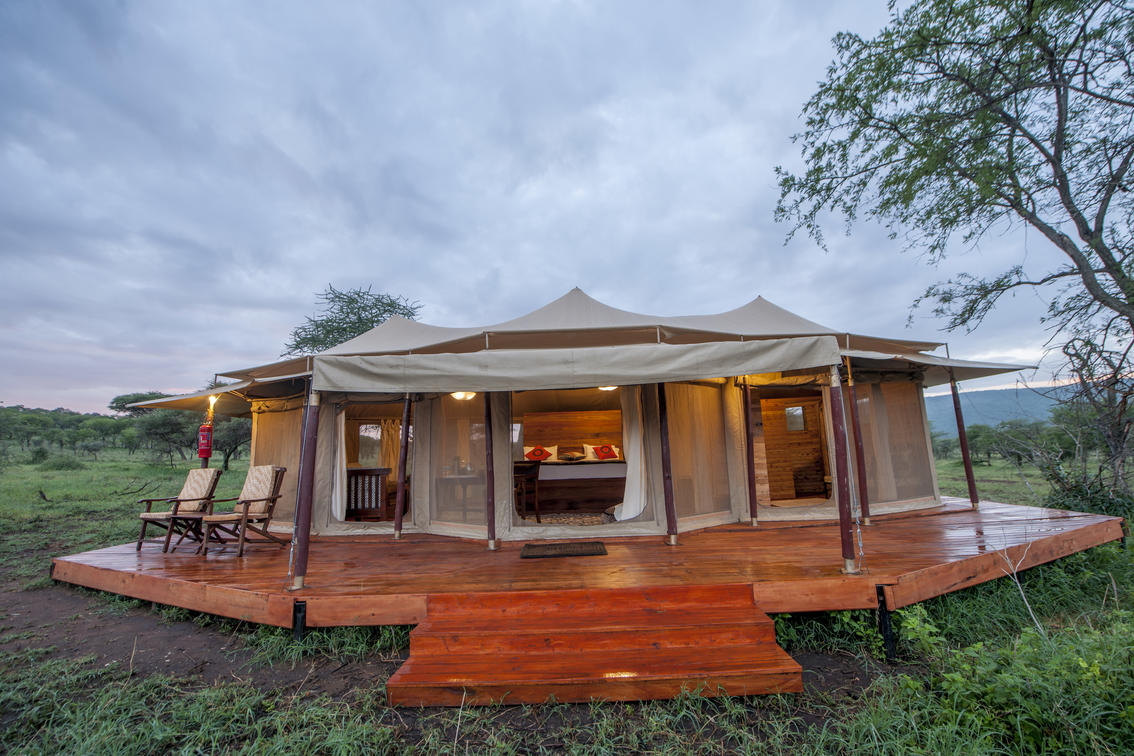 Tanzania Luxury Safari Lodges