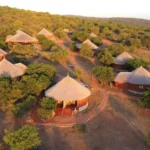 Tanzania Luxury Safari Lodges
