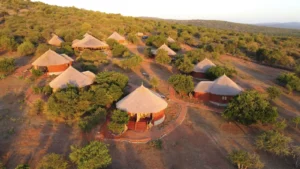 Tanzania Luxury Safari Lodges