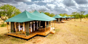 Tanzania Luxury Safari Lodges