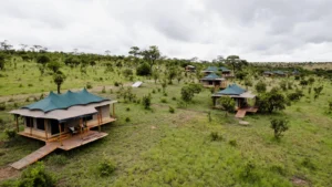 Tanzania Luxury Safari Lodges