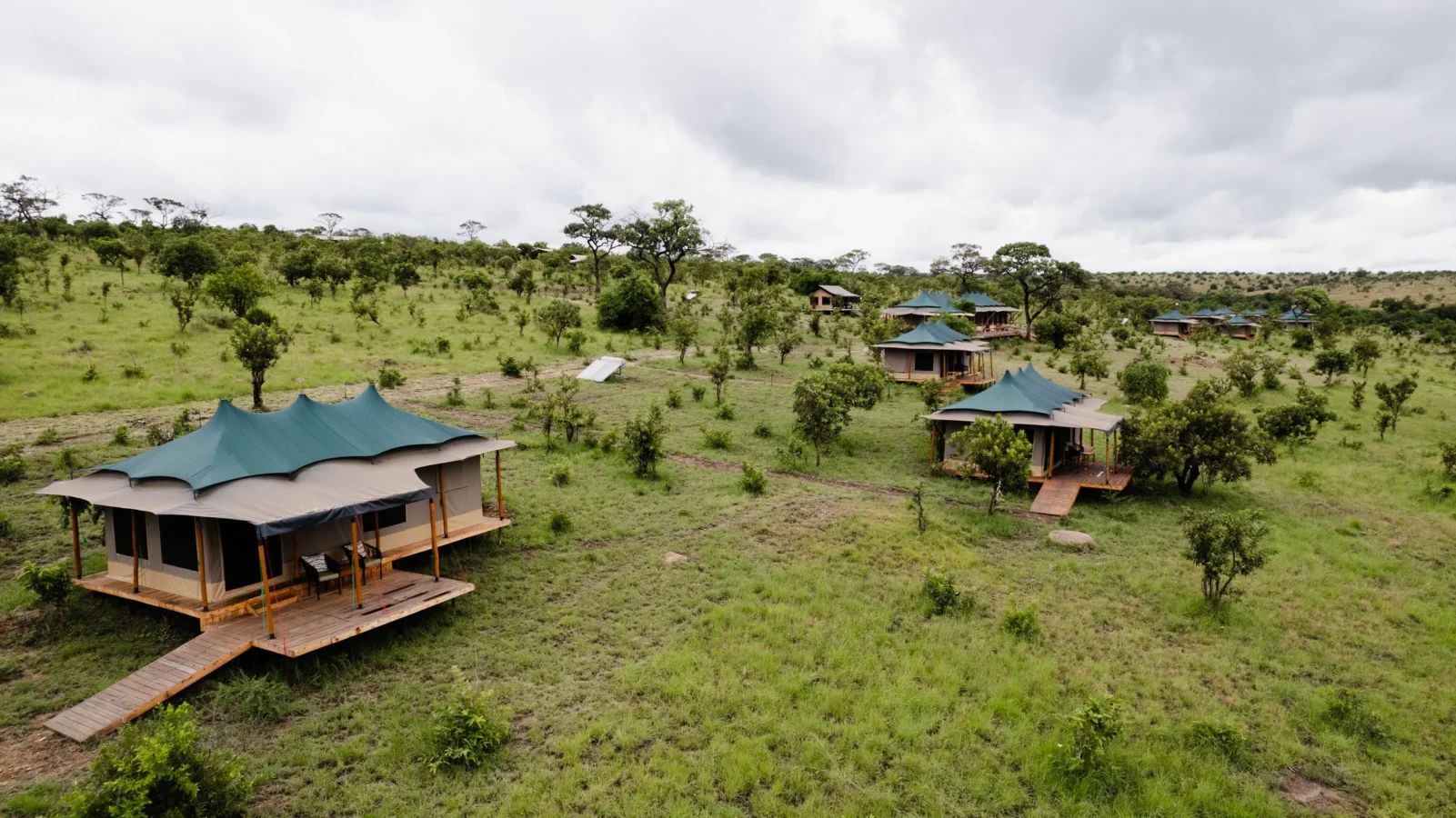 Tanzania Luxury Safari Lodges