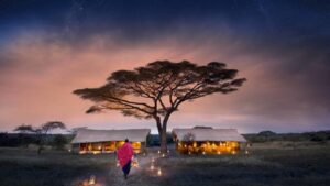 Tanzania Luxury Safari Lodges