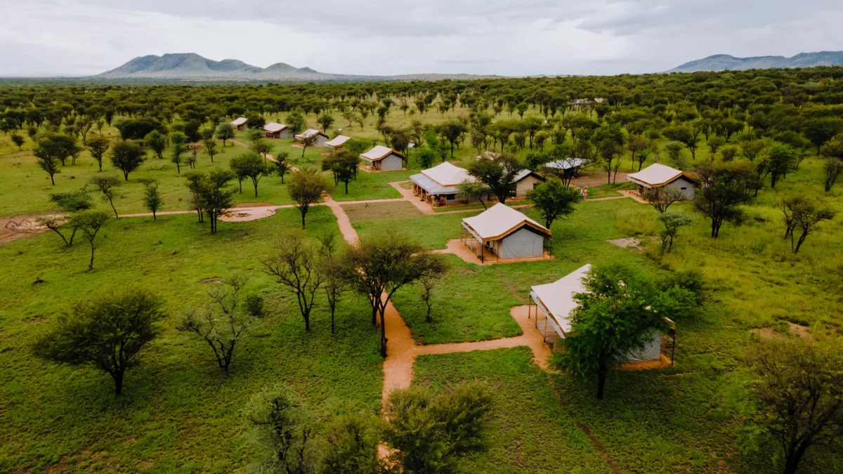 Tanzania Luxury Safari Lodges