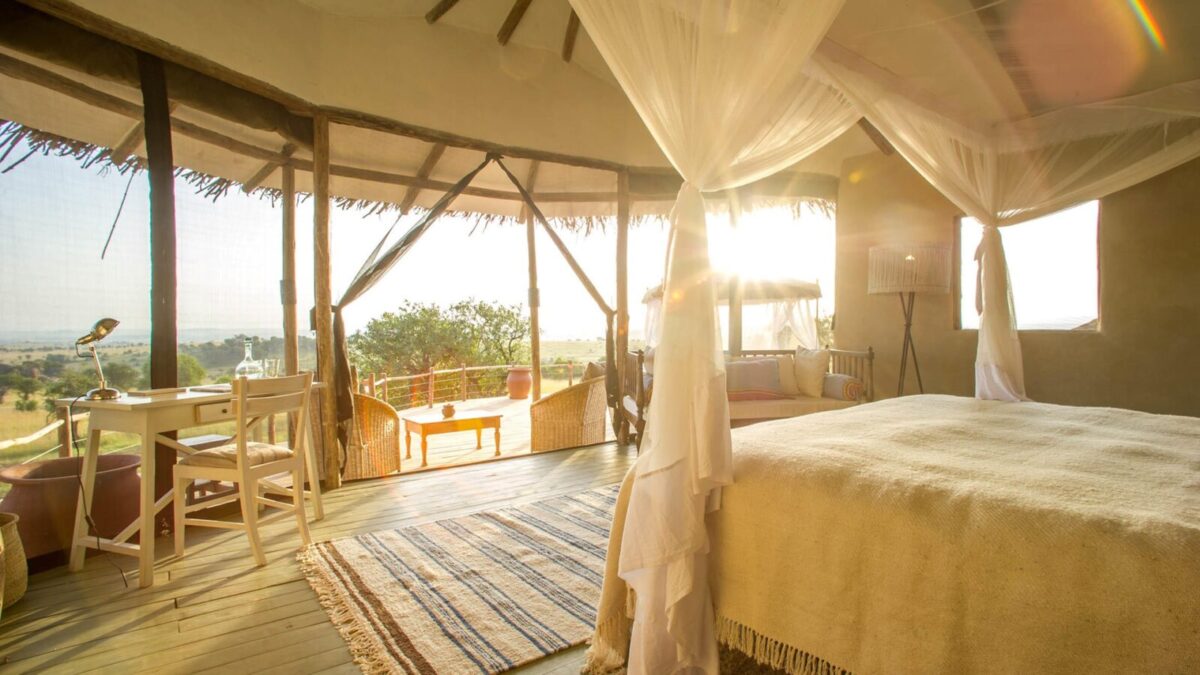 Lobo Wildlife Lodge