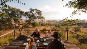 Tanzania Luxury Safari Lodges