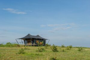 Mara Mara Tented Lodge
