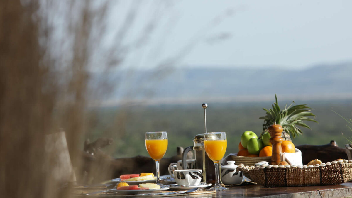 Tanzania Luxury Safari Lodges