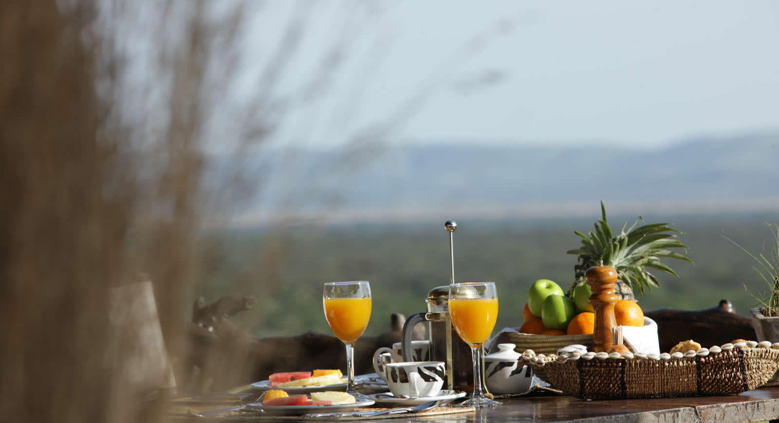 Tanzania Luxury Safari Lodges