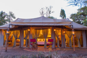 Tanzania Luxury Safari Lodges