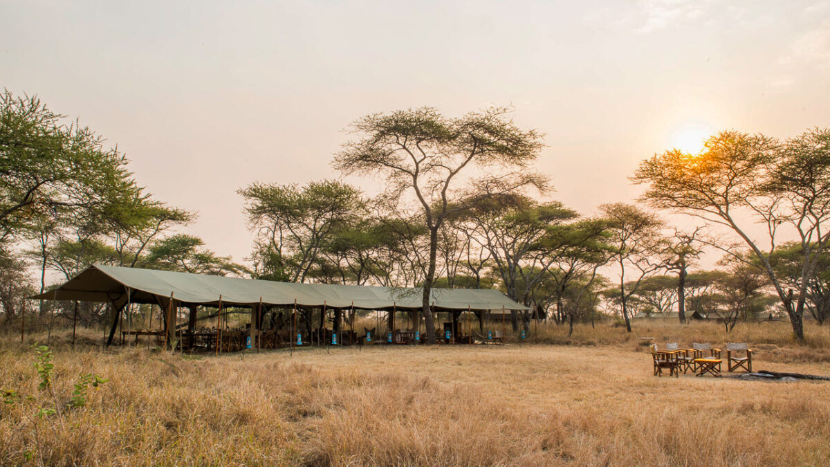 Nomad Serengeti Safari Camp