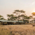 Nomad Serengeti Safari Camp