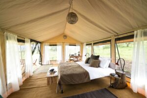 Tanzania Luxury Safari Lodges