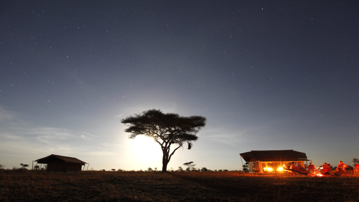 Tanzania Luxury Safari Lodges