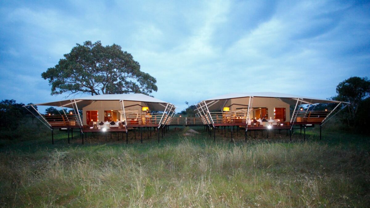 Serengeti Bushtops Luxury Camp