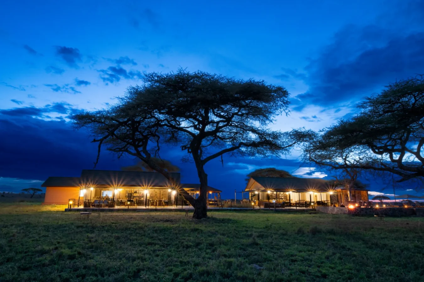 Tanzania Luxury Safari Lodges