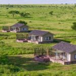 Serengeti Sametu Camp