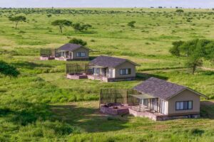 Serengeti Sametu Camp