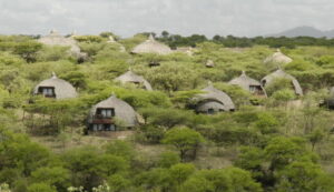 Tanzania Luxury Safari Lodges