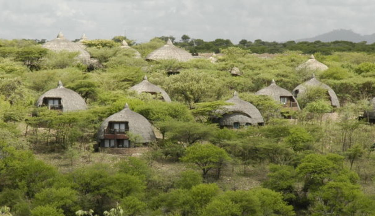 Tanzania Luxury Safari Lodges