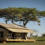Siringit Serengeti Camp