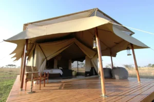 Tanzania Luxury Safari Lodges