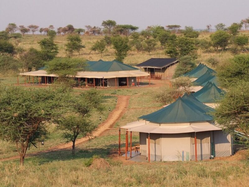 Tanzania Luxury Safari Lodges