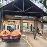 Botswana and Kenya Safari