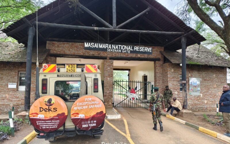 Botswana and Kenya Safari