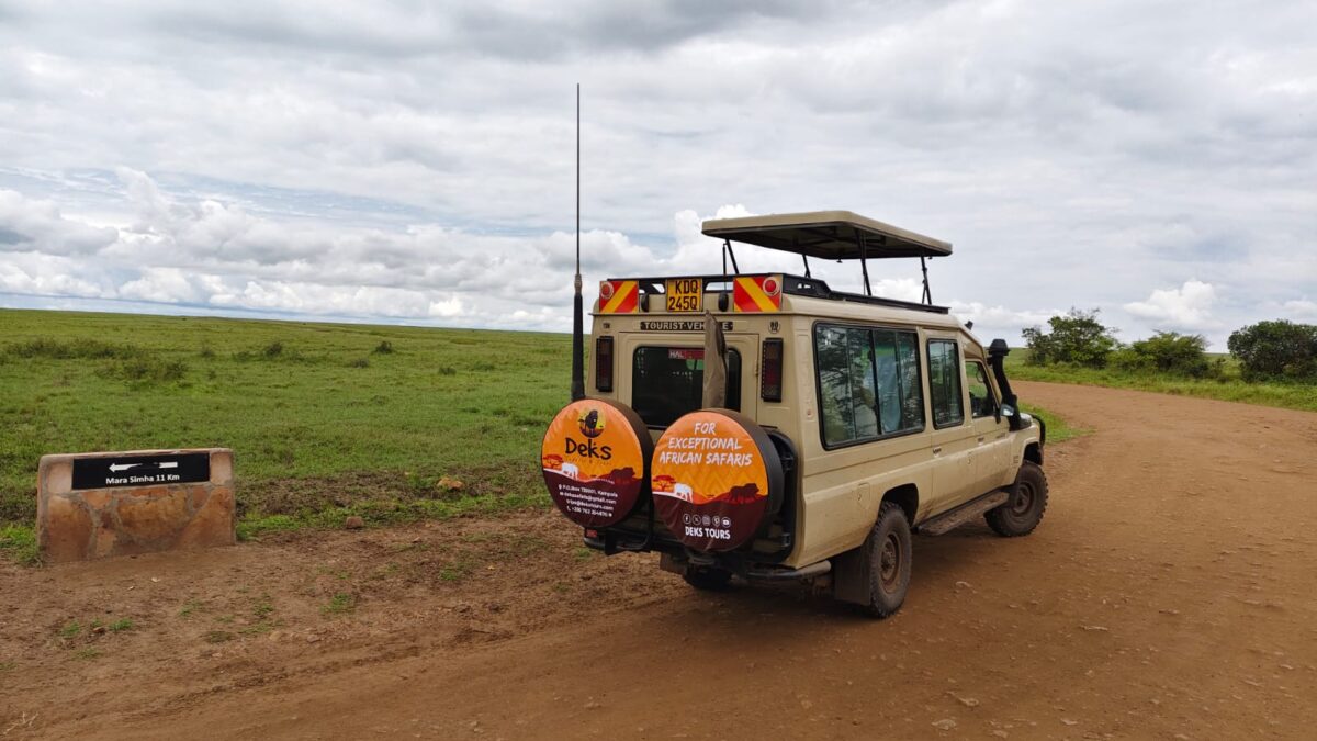 Kenya Wildlife Safaris