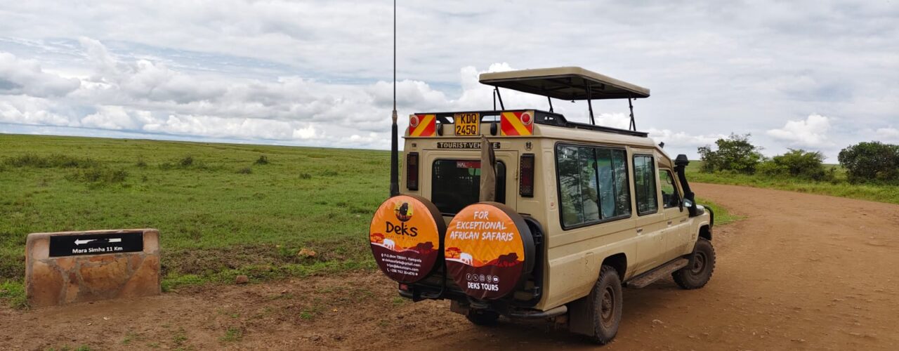 Kenya Wildlife Safaris