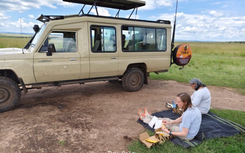 Africa Wildlife Safaris
