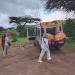 Africa Wildlife Safaris