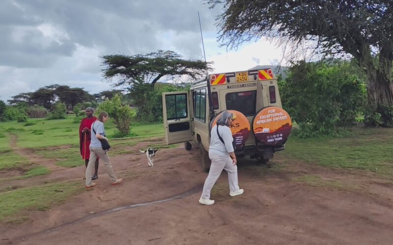 Africa Wildlife Safaris