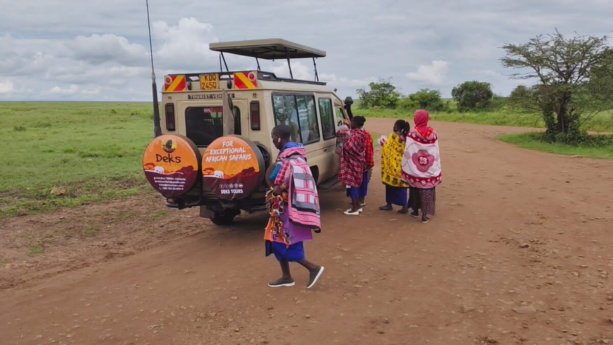 Africa Wildlife Safaris