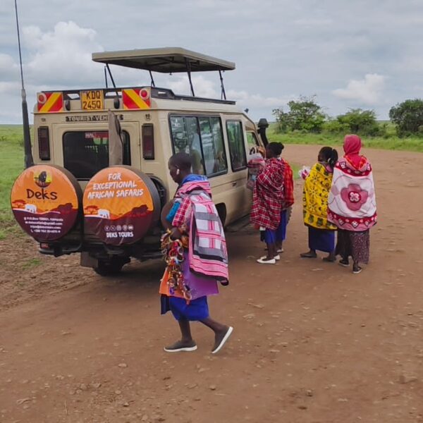 Africa Wildlife Safaris