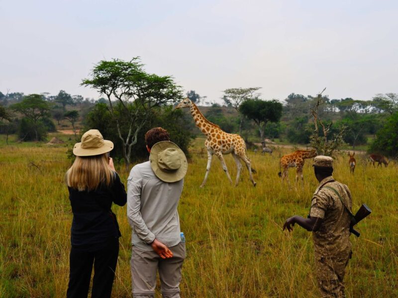 Africa Walking Safaris Africa Walking Safaris