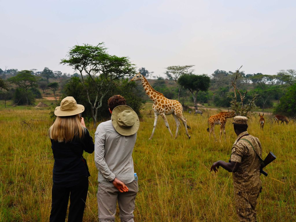Is It Safe to Travel on Safari in Kenya and Uganda?